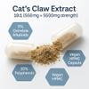 Cats Claw 5500mg 10:1 Extract 5% Oxindole Alkaloids & 10% Polyphenols High Strength Uncaria Tomentosa Immune & Antioxidant Support Vegan Capsules Non GMO Made in UK NutraCore (180) view 4