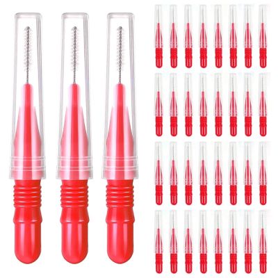 20pcs Interdental Brush Floss Sticks Tooth Head Toothpick Cleaning for Plaque Removal(Red)