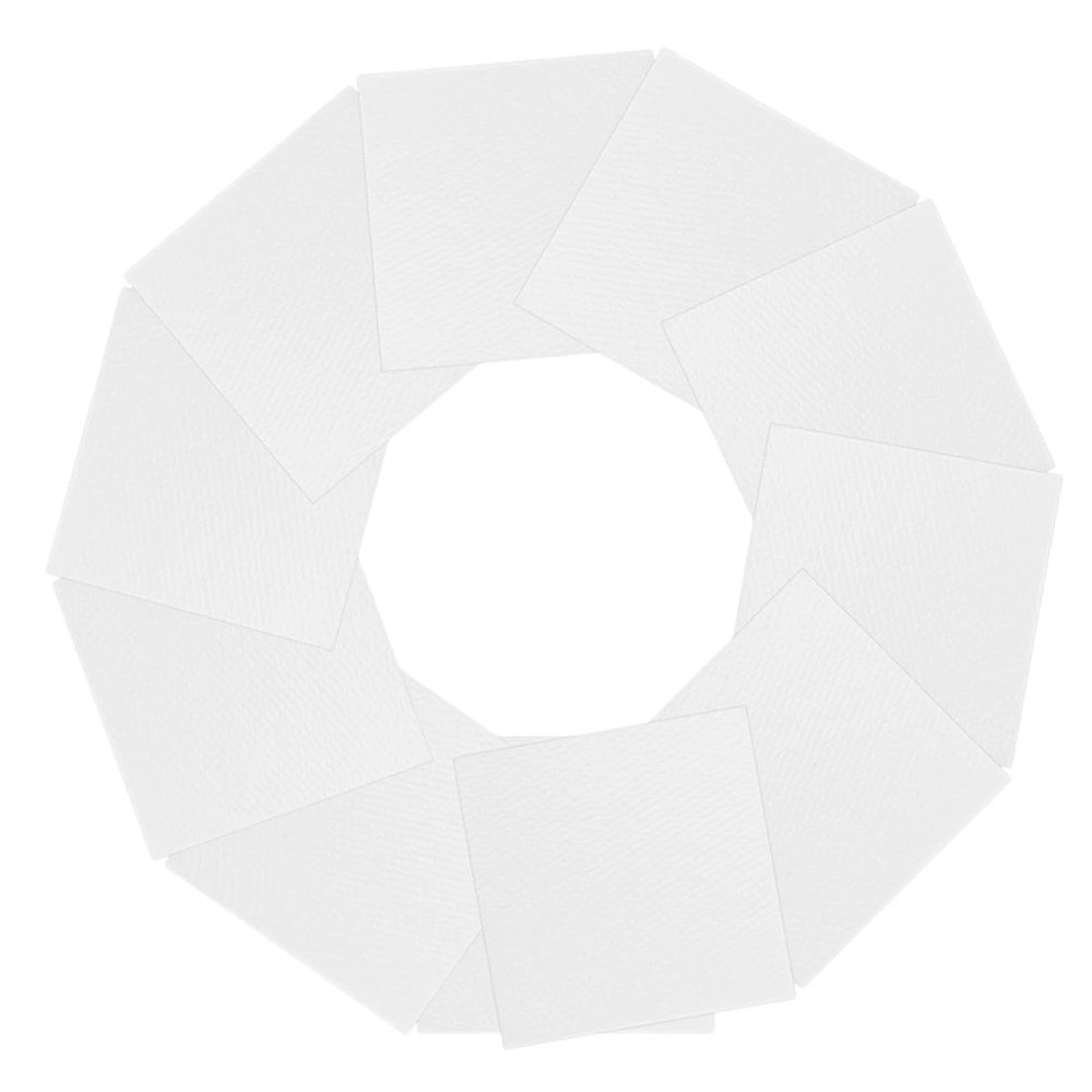 TEHAUX 100pcs Plant Fibre Drying Sheets for Biscuit Cans Moisture Absorbent Food Storage Desiccant Pet Food Moisture Absorber