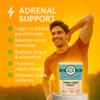 Camu Camu 6000mg 90 Vegan Capsules Natural Vitamin C UK Made Formula view 4