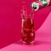 J2O Sparkling Apple & Raspberry 330ml Can (Pack of 12) view 3