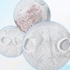 AHQiZFX 2 Pack Lace Face Masks, Reusable Breathable Mesh Half Face Cover Mesh Hollow Faces Shield Mask Protection for Women Black White view 4