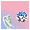 12PCS Toothbrush Replacement HeadsCompatible for 360 Oracleen T1 Y1 Universal Bruch Head view 2