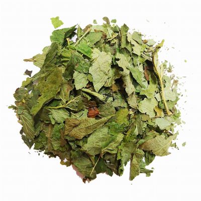 Black Currant Leaf Dried ( Ribes Nigrum L. ) Herbal Tea (5kg)