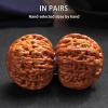 2026 New Wenwan Walnuts, Chinese Walnuts Fidget, Hand Training Massage Stress Relief Balls for Relaxation and Room Decorations, Travel and Meditation view 3