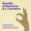 Alpha Nutrition Berberine & L-Carnitine Food Supplement, Vegan Capsules, Supports Metabolism and Energy, 90 Count view 4