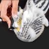 IANSHFKN Hard thick Fiber hair Brushes Set Sneakers boots Polishing tool Shoes care view 3