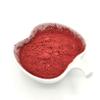 Trend Organic Beetroot Powder 500g 100% Pure Ground Beetroot Certified Organic, Non-GMO, No Additives Natural Food Colouring & Cooking Ingredient Resealable Pouch view 4
