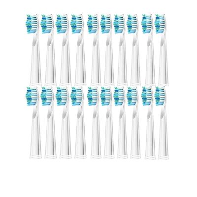 20 Pcs Replaceable Brush Heads Refill,Compatible for Seago Electric Toothbrush FW/SG 507/508/515/551/917/959(20 White)