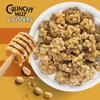 Crunchy Nut Clusters Honey & Nut Breakfast Cereal, No Artificial Colours or Flavours, Vegetarian, 450g,Pack Of 2 view 2