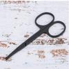 Black Stainless Steel Scissor Eyebrows Nose Hair Beard Scissor Beauty Tool (Nose Hair Clipper (Round Head)) view 2