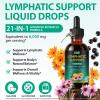 Lymphatic Drainage Drops with Dandelion & Burdock Root Extract Natural Wellness Support, Fast Absorbing Liquid 60ml view 2