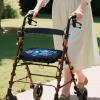 Dngkaoje Galaxy Butterfly Walker Seat Covers for Ladies Walker Seat and Backrest Covers Blue Butterfly Handle Covers for Rollator Walkers Removable Accessories Decor Roll Bar Cover view 2