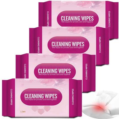 4Pack Luxury Travel Moist Toilet Wipes; Multipurpose Flushable Adult Wet Wipes for private care and hygiene; 48Count Skin Friendly Cleaning Wipes for Home, Outdoors