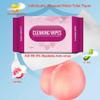 4Pack Luxury Travel Moist Toilet Wipes; Multipurpose Flushable Adult Wet Wipes for private care and hygiene; 48Count Skin Friendly Cleaning Wipes for Home, Outdoors view 4