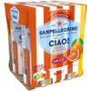 SANPELLEGRINO Flavored Soft Drink Blood Orange - 6 packs of 4x33CL view 3