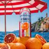 SANPELLEGRINO Flavored Soft Drink Blood Orange - 6 packs of 4x33CL view 4