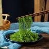 Crispy and tender seaweed snack, 100g/pack, nutritious sea grapes, a light and delicious snack. (10bags) view 3