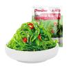 Instant Shredded Seaweed (100g/bag) Cold Salad,Wakame,Vegetables,Japanese Side Dishes,Pickles,Vegan,Sweet and Sour Spicy Dishes,Instant Meal Replacement, Kimchi,Delicious Snack Gift (3bags) view 1