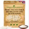 Pure Probiotic Capsules 182 Billion CFU | Clean 6 Strains | Probiotics for Women and Men | Crown Supplements UK (360 Capsules)