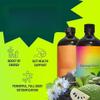 Organic Herbal Bitters for Digestion, Immunity & Skin Vitality, Non-GMO view 3