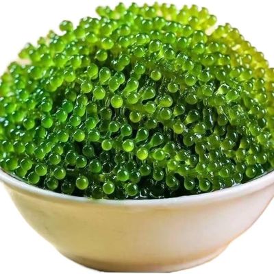 Fresh and Crisp sea Grapes, Nutritious sea Vegetables, Instant Seaweed Salad 100g/bag, Kelp, Seaweed Vegetables, Sushi Cold Dishes, Delicious Pickles, Side Dishes, Vegetarian, Green Fruits (5 Bags)