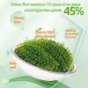 Fresh and Crisp sea Grapes, Nutritious sea Vegetables, Instant Seaweed Salad 100g/bag, Kelp, Seaweed Vegetables, Sushi Cold Dishes, Delicious Pickles, Side Dishes, Vegetarian, Green Fruits (5 Bags) view 2