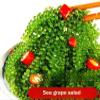 Fresh and Crisp sea Grapes, Nutritious sea Vegetables, Instant Seaweed Salad 100g/bag, Kelp, Seaweed Vegetables, Sushi Cold Dishes, Delicious Pickles, Side Dishes, Vegetarian, Green Fruits (5 Bags) view 3
