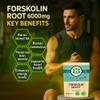 Forskolin Root Extract 6000mg 180 Capsules UK Vegan Coleus Forskohlii view 2