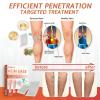 Zvoevo Vein Ease Microneedle Care Patch, 2026 New Vein Target Patches, Zvoevo Varicose Veins Treatment Patches for Legs, Natural Ingredients, for All Skin Types (1 Pack) view 2