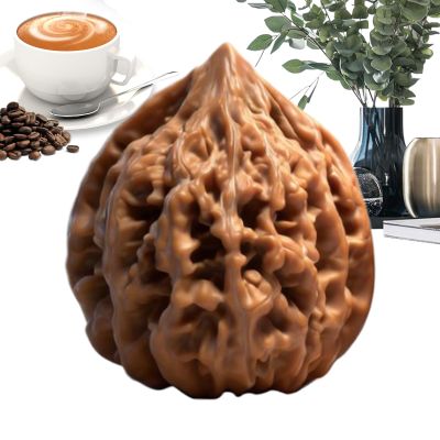 Walnut Fidget Toy Hand Fidget for Focus