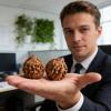 Walnut Fidget Toy Hand Fidget for Focus view 2