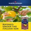 San Pellegrino Cherry & Lemon 6x330ml view 3