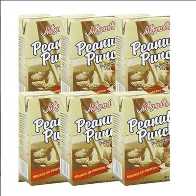 Peanut Punch Flavoured Milk Drink, UHT Processed, Source of Protein, 250ml, Pack of 12