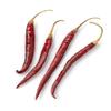 Dried Chilli - Spanish De Arbol Dried Pods 20g view 2