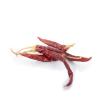 Dried Chilli - Spanish De Arbol Dried Pods 20g view 3
