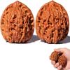 2026 New Wenwan Walnuts, Chinese Walnut Fidget Toys for Stress Relief Hand Massage, 2pcs Solid Wood Grip Balls, Portable Care Balls for Elderly Hand Exercise Training Meditation (Only Walnuts) view 1
