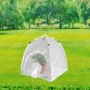 Guangcailun Polyester Bottom Habitat Cage Ensures Easy Cleaning and Long-Term for Insect Observation Caterpillars Will Be Safe and Comfortable for Duration of Stay. Side Opening Door view 4