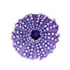 XuQiZZpp Fondant Mousses Cake Sea Urchins Shell Shape Chocolate Silicones Texture Epoxy for Kitchen Bak view 3
