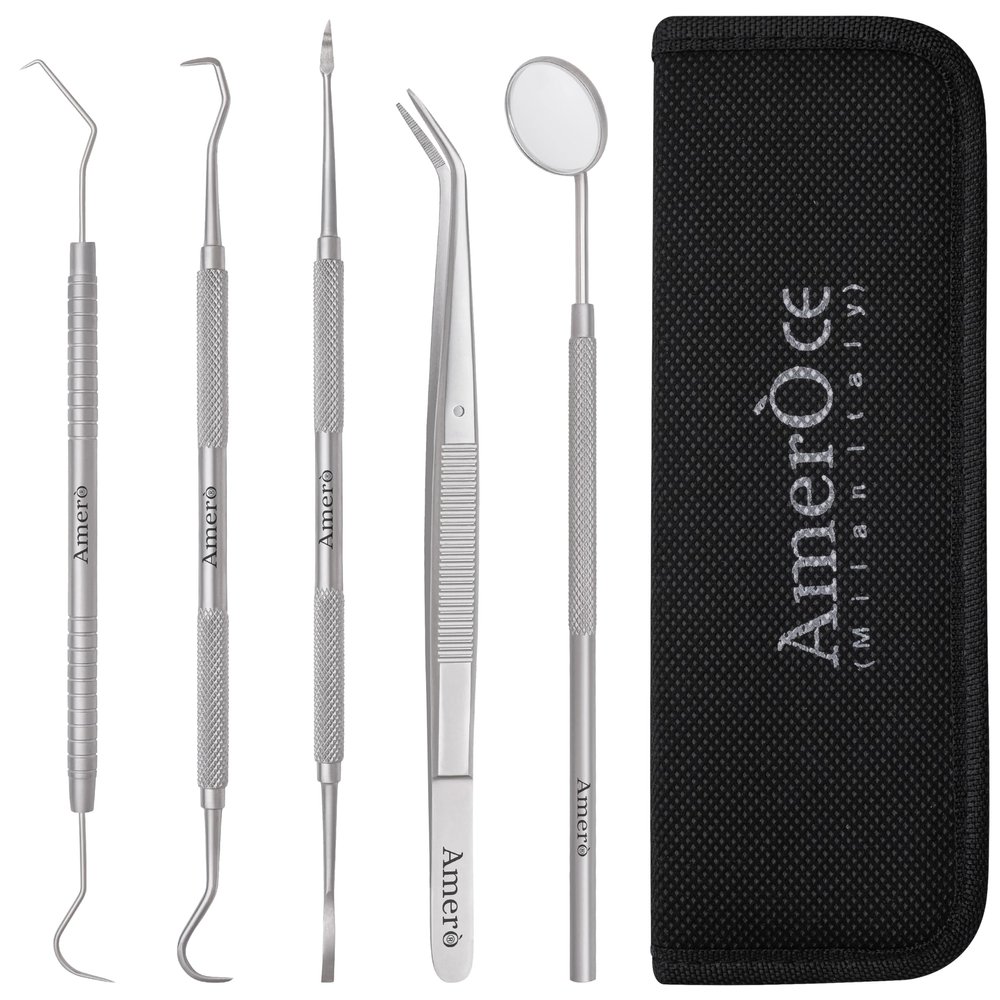 Amero Dental Cleaning Kit Stainless Steel Plaque & Tartar Remover Tools with Mirror, Scraper & Pick Oral Care Hygiene Set with Case