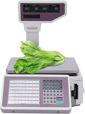 YXYLJOZ Label Printing Scale, Electronic Price Computing Scale Pole Display Label Thermal Printer Scale, Commercial Barcode Scale Food Scale Double, 30KG Capacity