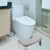 IDEANATEGRATE Plastic Step Stool for Adults and Teens with Stable Legs and Anti-Slip Surface, Bathroom Toilet Assistance Step to Posture and Safety view 4