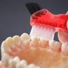 COOLHIYA 3pcs Portable Denture Cleaning Brush Set with Soft Plastic Bristles, Mini Household Creative Design, Convenient to Carry and Not Easily Deformed for Effective Denture Care view 4