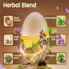 Black Walnut, Natural Plant Care, Helps Digestion and Improves Physical Fitness view 2