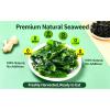 MAFUSE Natural Wakame Seaweed Rich in Umami, Iodine, and Various Minerals. Ideal for Preparing Miso Soup, Salads, Ramen, and Sushi. (100g x 2 Bags) view 4