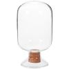 BESPORTBLE Match Storage Jar Easy to Use and Convenient to Carry Glass Shaped with Wooden Lid Creative 250ml Capacity for Displaying Small Artwork or Matches in Home Decor view 1