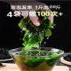 Deep Sea Wild Fresh Dried Seaweed | Skirt and Sea Cabbage | Instant Without Sand and Wash | 10 Times Soaking Rate | Ingredients for Soup, Cold Dishes, Salads | Vegetable Side Dishes (5 Bag) view 2