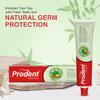 Neem Toothpaste for Germ Protection & Bad Breath Control | Strong Teeth & Healthy Gums with Mint & Aloe Vera | Anti-Cavity Fluoride Herbal Toothpaste | Oral Care | 150 g view 2