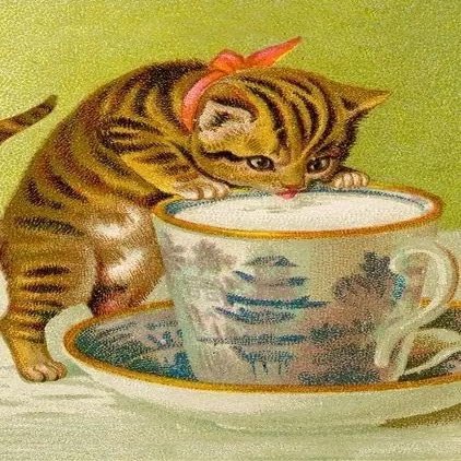 B6 pass with envelope Cat drinking milk