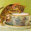 B6 pass with envelope Cat drinking milk view 1
